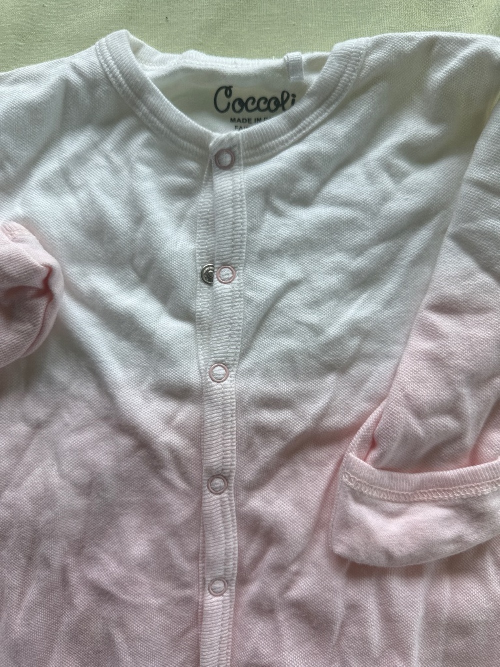 Coccoli